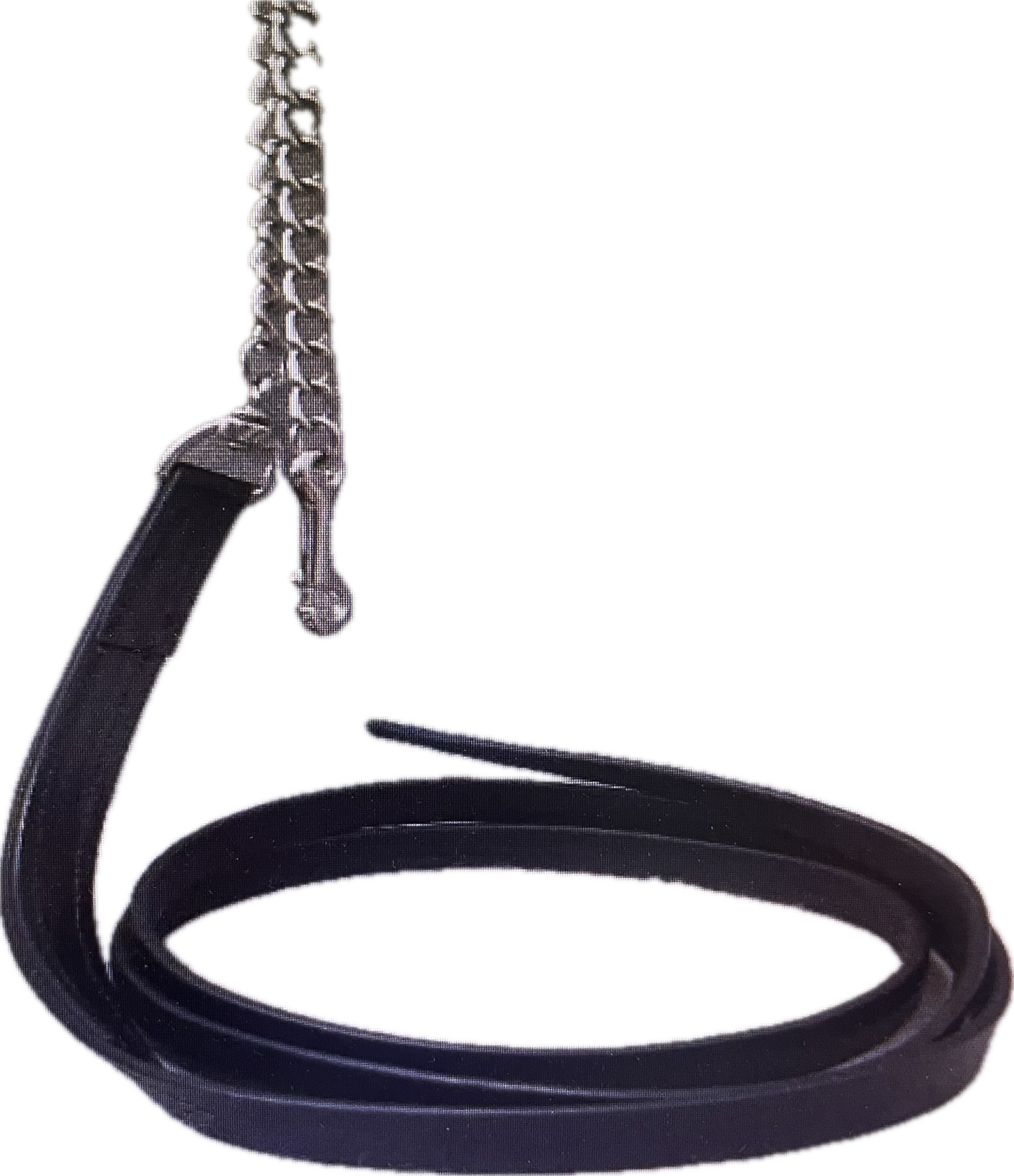 DO+Lead+Line+with+lead+chain.